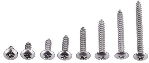 200pcs M3 Kit de Vis Autotaraudeuses 304 Tête Truss en aAier Inoxydable Vis à Bois Kit Vis Autotaraudeuses pour L'auto-fabrication, La Réparation