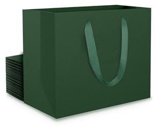 EUSOAR Papiertüten mit Henkel Grün - 20 stück 230GSM Dunkel Grün Kraftpapier Tüten Geschenktüten Klein S 22x10x18 cm - Green Gift Bags Papiertragetaschen - Geschenksackerl für Geburtstag Hochzeit