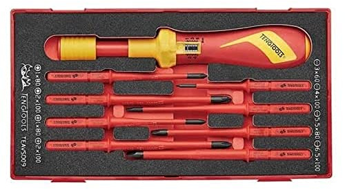 Juego de 1 destornillador dinamométrico y 8 varillas planas, PH y PZ TEAVSD09 marca TENGTOOLS