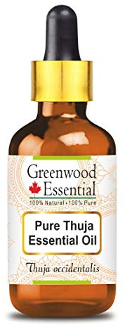 Greenwood Essential Pure Thuja Essential Oil (Thuja occidentalis) with Glass Dropper Steam Distilled Natural Therapeutic Grade 5ml (0.16 oz)