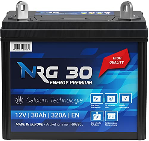 NRG Rasentraktor Batterie 12V 30Ah Aufsitzmäher Rasenmäher Plus Pol Links