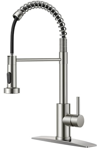 FORIOUS Kitchen Faucets, Brushed Nickel Kitchen Sink Faucet with Pull Down Sprayer, Commercial Kitchen Faucet Stainless Steel, Classic Single Handle Pull Out Sink Faucets for RV Laundry Utility Room
