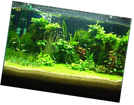 Dickly Aquarienrückwand, Selbstklebend, Meerwasser, 6 Größen, Wasserpflanzen, 122 x 46 cm