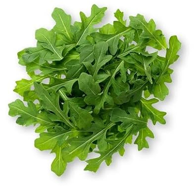 100Pcs Green arugula Vegetable Seeds