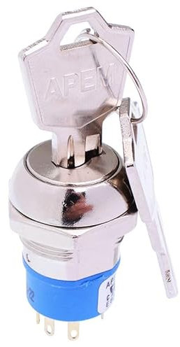 On-On 2 Way 19mm Key Switch DPDT 4A LK68NB126N3