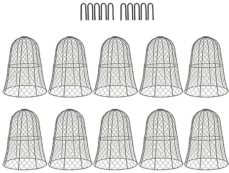 10 Stück Hühnerdraht Glocke Pflanzenschutz, Garten Pflanzenschutzkäfig, Bell Shaped Hühnerdraht Cloche mit Hakenring, Schutz für Ihre Pflanzen und Setzlinge