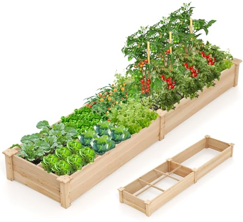 GOPLUS Upphöjd bädd av gran, trädgårdsbädd med 2 planteringslådor och skiljeväggar, blomlåda med öppen botten, växtbädd, växtlåda, planteringskruka för blommor, grönsaker och frukt (228 x 62 x 25 cm)
