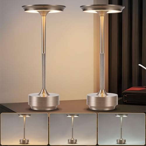 Nachttischlampe Kabellos Tischlampe Akku - LED Tischleuchte Touch Dimmbar | Lampe mit USB Aufladbar Batterie Tischlampen Nickel 2er Set für Modern Fensterbank Wohnzimmer Kinderzimmer Schlafzimmer