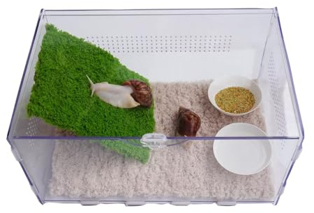 Jinymral Pet Snail Terrarium Kit, Climbing Wall and 2 Food Bowl