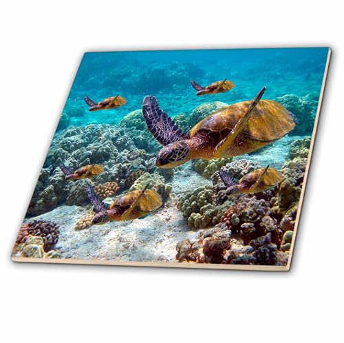 3dRose Sea Turtles 12 Inch Ceramic Tile