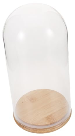 Alipis Campana de Vidrio Decorativa Transparente con Base de Bambú para Exhibición Redonda para Plantas Recuerdos y Objetos Coleccionables Diseño Elegante para Decoración y Manualidades