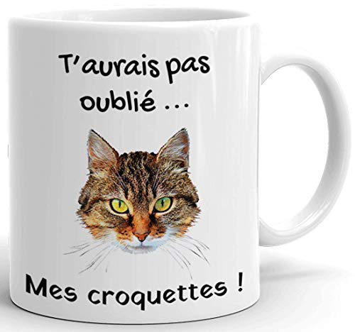 L'Esprit Des Anges Tasse-Mug Chat Humour -T'aurais Pas Oublié Mes Croquettes- Idée Cadeau Drole Rigolo Humoristique Petit Déjeuner Amusant