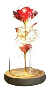 Ymnilian Rose Eternelle, Rose Eternelle sous Cloche Rose Magique éternelle en Feuille d'or 24 carats, dôme de Fleur, Guirlande Lumineuse féerique, Cadeau noël, Saint-Valentin, fête des mères(043)