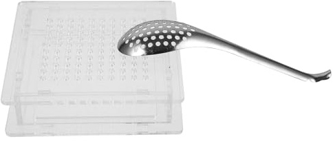 Homoyoyo Caja para Hacer Caviar 100 Orificios Dispensador de Salsa de Huevas Herramienta de Gastronomía Molecular Cuchara Acero Inoxidable y Plástico Reutilizable Uso Doméstico y