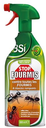 BSI - Anti-Fourmis - Stop Fourmis - Spray - Insectes Rampants - Efficace En Intérieur Et Extérieur - 800 ml, Translucide