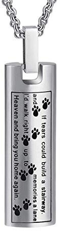 Collar de urna de cremación para cenizas, huella de mascota, colgante conmemorativo para perro, gato, ceniza, medallón para hombres para mujeres, Acero inoxidable, No es una piedra preciosa