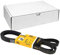 CONTITECH 6PK2155 - Correa Trapezoidal