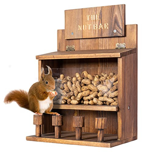 COLEBA Holz Eichhörnchen Feeder Tisch Die Nuss Bar - Langlebiger Picknick Tisch Mit Corn Cob Halter, Stabile Hocker Bar, 15x10x6 Zoll (Braun)