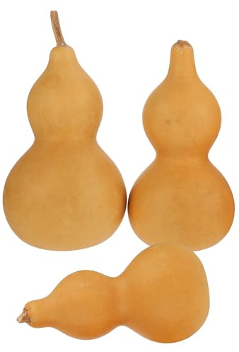 GARVALON Set 3 Zucche Ornamentali Naturali Artigianato Zucca Secca 9-12 Cm Decorazione da Tavola Feng Shui Casa Ufficio Scrivania Simbolo Prosperità e Pace