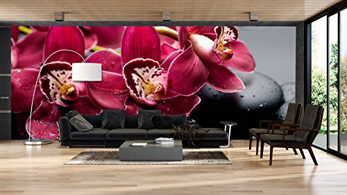 Fotomural Vinilo Pared Zen Orquídeas | Fotomurales | Fotomural pared | Fotomural Decorativo | Vinilo Decorativo | Varias Medidas 350 x 250 cm | Decoración comedores, salones | Diseño Elegante