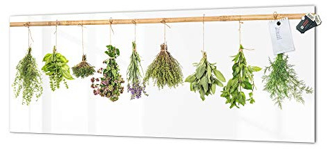 Toughened printed glass backsplash - steel coated wall glass splashback Flowers&Plants Series MBBS04B:
