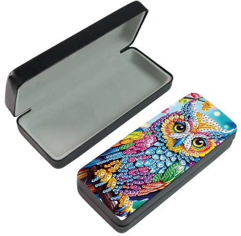 DCIDBEI Peinture Diamant Valise de Voyage Diamant Painting étui de Protection pour Lunettes kit de Soins Oculaires Support de Rangement pour Lunettes Conteneur Yeux Boite Lentilles Hibou Chouette