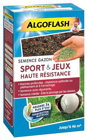 Algoflash Semence Prato Sport & Gioco Ad Alta Resistenza 1 kg SEMHR 1, Blu