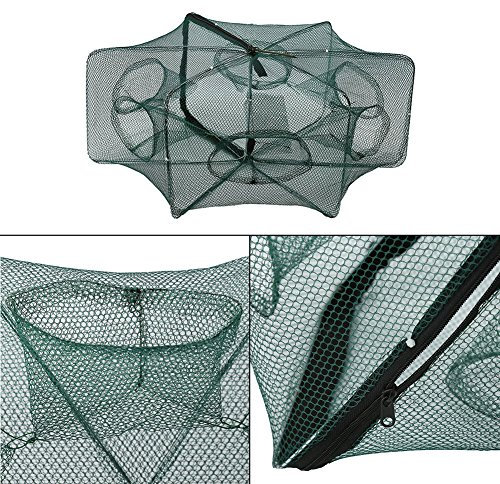 MAGT Fischernetz, Fischreuse Krebs-Garnelen Reuse Automatisches Fischernetz Nylon Faltbares Krebs-Garnelen-Fischnetz(6 Holes)