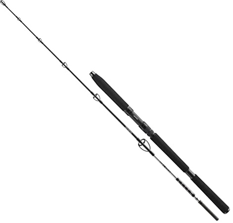 DAIWA BG Sea Jigger Angelrute, 2,1 m, 17,8 cm, 150-400 g