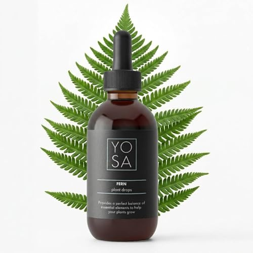 YOSA Fern Plant Food Fertiliser 100ml – Premium Fern Feed Liquid Fertiliser, Nutrients for Growth, Strong Roots, Healthy Leaves, House Plant Food (NPK 8-4-8)