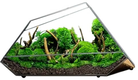 AVCULT Maceta De Terrario Geométrico,Terrario De Forma Geométrica De Cristal,Caja De Vidrio Hecha A Mano, Maceta Vintage En Miniatura para Suculentas, Cactus, Plantas De Aire (No Incluye Plantas)