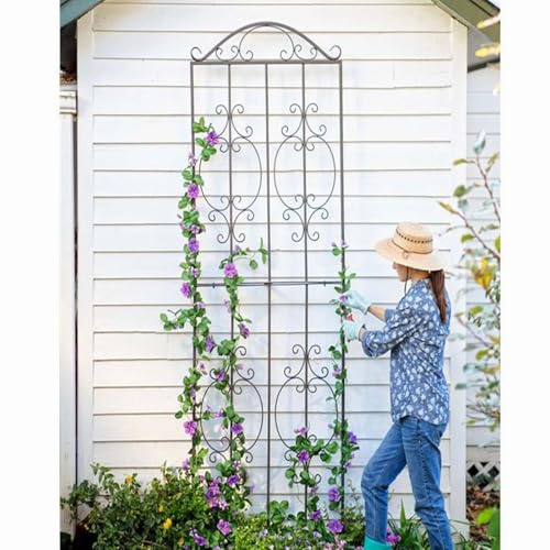 YAVYAV Enrejado De Jardín De 215 X 60 Cm, Soporte De Enredaderas En Maceta De Hierro Forjado A Prueba De Herrumbre, Celosía Metálica para Plantas Trepadoras(Black)