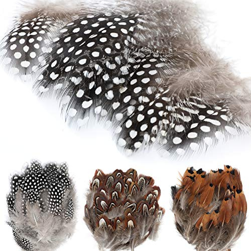 MWOOT 300 Stück Naturfedern braun Federn Indianer Federn basteln 5-13cm zum Basteln für Traumfänger Köstum, Hüte, Dreamcatcher oder Karneval Halloween Dekoration