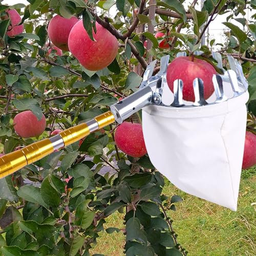 raccogli asparagi pinza frutta Strumento Per La Raccolta Della Frutta Per Limoni, Pere E Manghi, Frutteti Ad Alto Fusto Per Serre Palo Estrattore Di Frutta Strumenti Per La Raccolta Con Cesto Di Tela