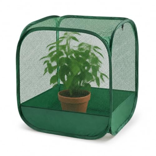 GardenSkill Mini Gewächshaus mit Insektennetz, Kleiner Pop-up Vogelschutznetz Pflanzenschutznetz zum Züchten und Schützen von Sämlingen, Kräutern, Topfpflanzen, Hochbeet - 50 cm L x 50 cm H, 3 Stück