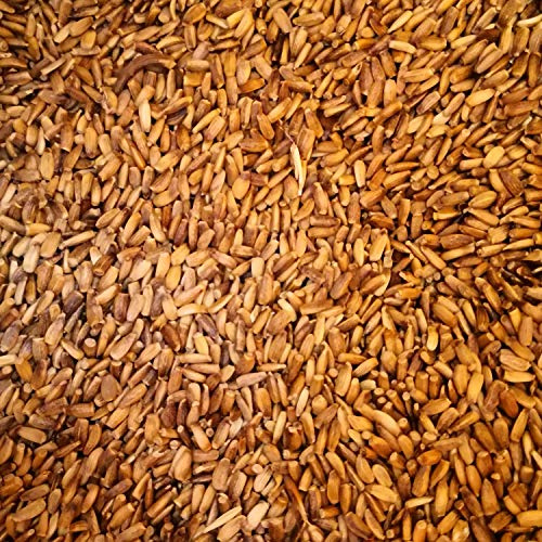 Eurital Mariendistelsamen für Pferde 2,5 kg - ganz, Einzelfuttermittel | Ohne Zusatzstoffe, ungeschrotet