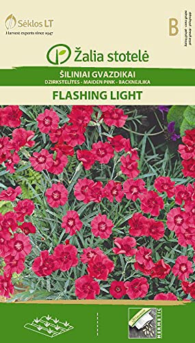 Seklos LT | HEIDENELKE FLASHING LIGHT | Mehrjähri Pflanze | Blumensamen | Pflegeleicht Pflanze | Für Topf, Alpinum, Grab | Pflanzensamen | 1 Pack