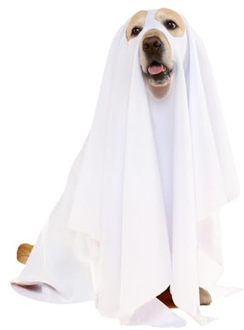 Quorvex Disfraces de Halloween para perros, fiesta de truco o trato de Halloween, cosplay para perro, disfraz espeluznante para cachorros temáticos de truco o trato, suministros para mascotas, ropa