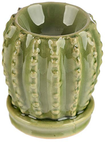 Mini Cactus Ceramic Br?leur Oil