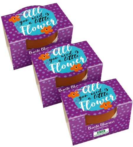 Bull & Bear 3er Set Mini Pflanzset 'All you need is a little flower' mit Blumensamen im Topf 4,5cm, Bunte Blumen als Anzuchtset mit Pflegeanleitung