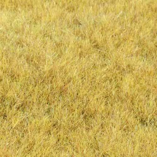 33543 Grasfaser Wildgras 'Heuwiese', 75 g