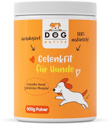 DOG NATIVE GelenkFit für Hunde, hochdosiertes Gelenkpulver mit Grünlippmuschel, MSM, Chondroitin & Kollagen, natürliches Pulver für Gelenke, 500g