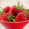 Fraise Elsanta (20 plantes frigo A+), Plantes de fraisiers à croissance rapide réfrigérées des Pays-Bas. Résistantes au froid et vivaces, Autofertiles, Plantes Fragaria x ananassa (pas de graines).