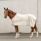 SUNRIDE Abschwitzdecke “Wellington” für Pferde aus weichem Fleece (280g/m²) - schnelltrocknend und leicht (145 cm, beige)