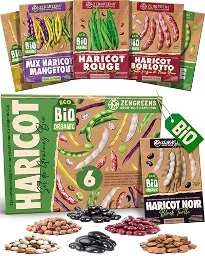 ZenGreens® - Bio Bohnensamen im 6er Set - 6 Bohnen Samen für den einfachen Anbau im Garten, Balkon oder Hochbeet - Pflanzensamen - Saatgut