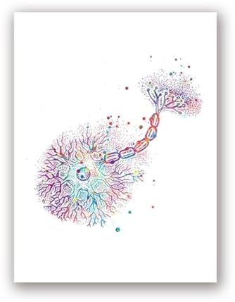 1st Neuron Akvarell Neurovetenskap Neurologi Väggkonstaffischtryck Hjärnanatomi Medicin Dukmålning Synapsklinikrum(02,55x80cm)