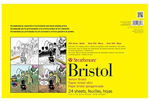 Strathmore Bristol-Papierblock, Pergamentpapier, gebunden, 27,9 x 43,2 cm, 24 Blatt (270 g), Künstlerpapier für Erwachsene und Studenten, Anthrazit, Stift und Tinte, Marker und Pastell