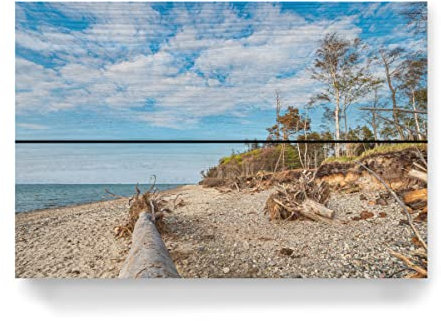artboxONE Holzbild 30x20 cm Natur Strand, Meer, Baumstamm von Künstler Rico Ködder