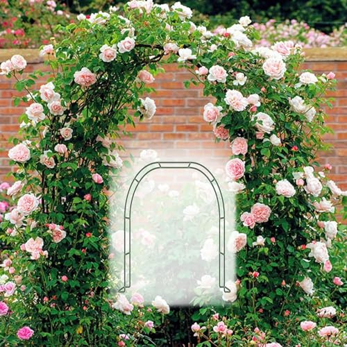 Arco for Roses Support d'arc pour plantes grimpantes en métal W80/120/140/180/16/240/260/280/300/350cm, arche de mariage tonnelle arche de jardin (couleur : blanc, taille : l 180 x 220 cm (l 5,9 x 7