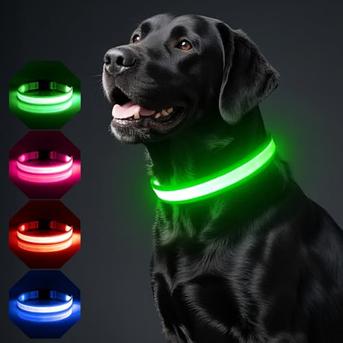 BiPawTi LED Leuchthalsband Hund Klein Aufladbar, Leuchtendes Halsband Kleine Hunde mit 3 Beleuchtungsmodi, Leuchtet Im Dunkeln, Super Helle Halsband fürs Nachtspaziergänge/Camping mit Hund - Grün, S